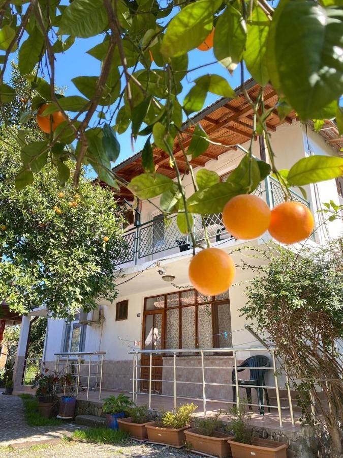 Cirali Irmak Hotel Εξωτερικό φωτογραφία