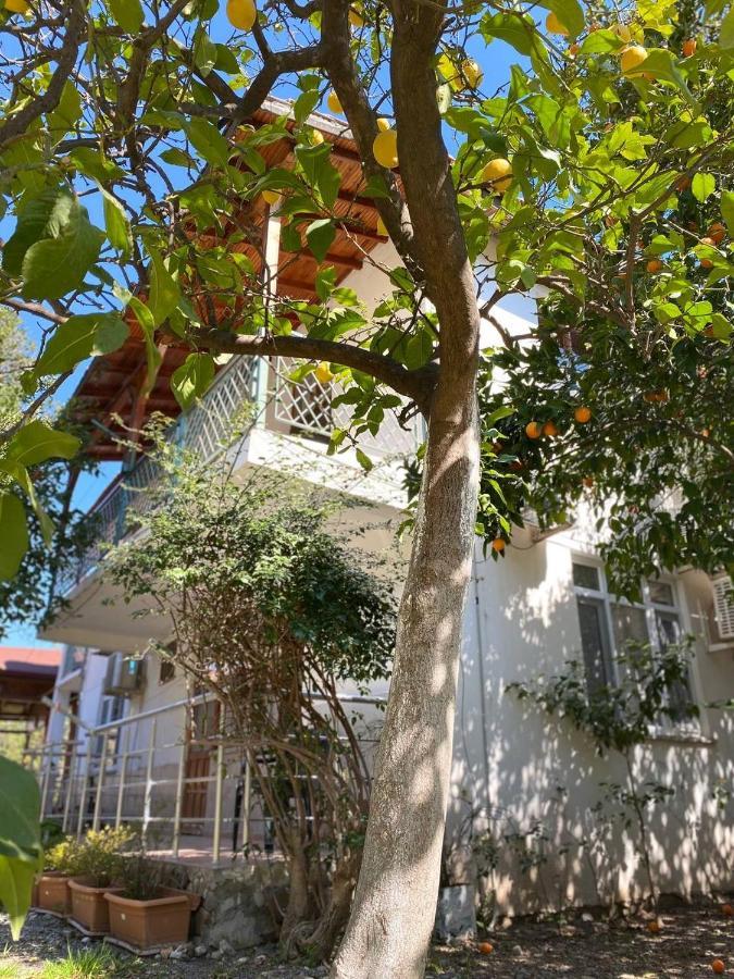 Cirali Irmak Hotel Εξωτερικό φωτογραφία