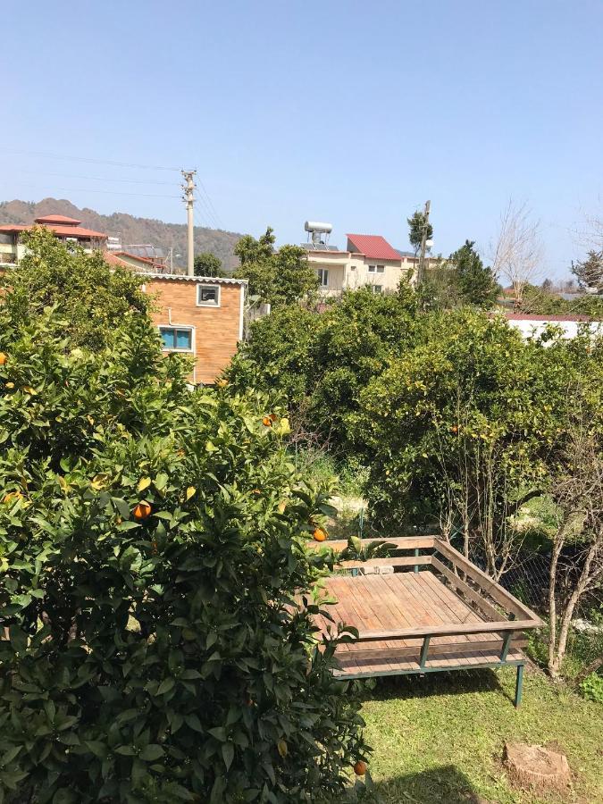 Cirali Irmak Hotel Εξωτερικό φωτογραφία