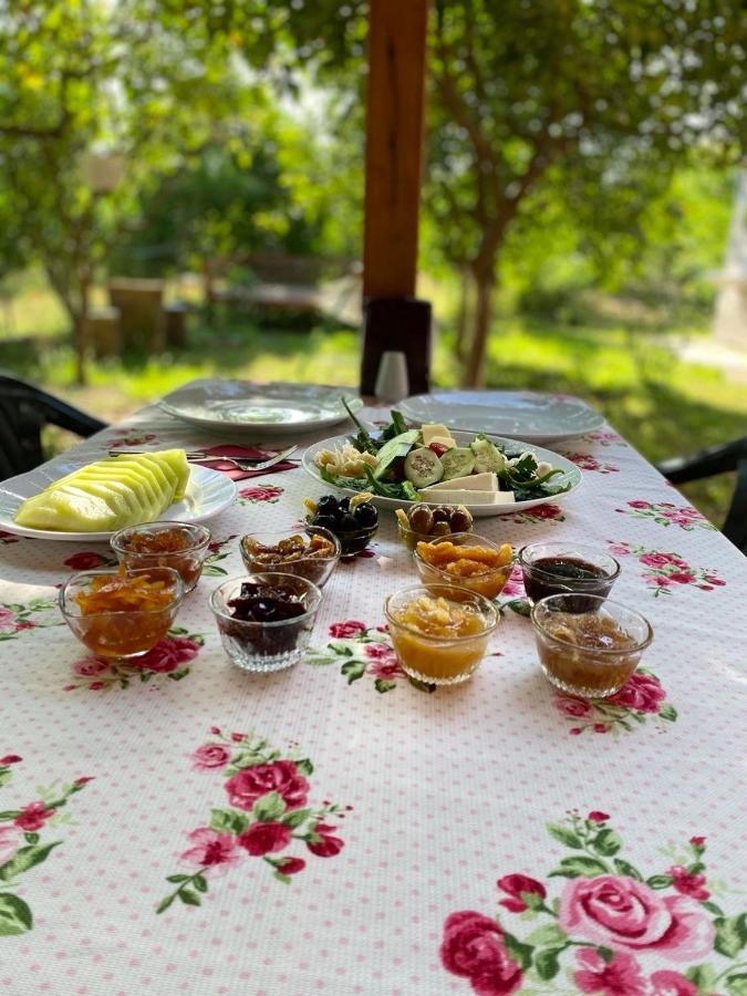 Cirali Irmak Hotel Εξωτερικό φωτογραφία