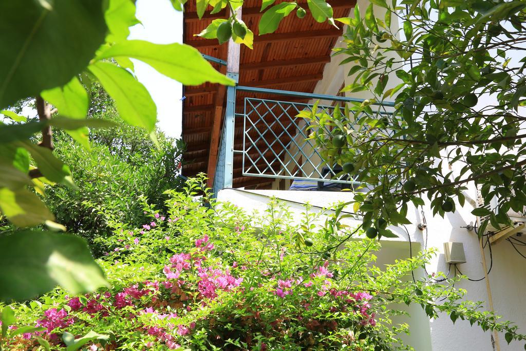 Cirali Irmak Hotel Εξωτερικό φωτογραφία