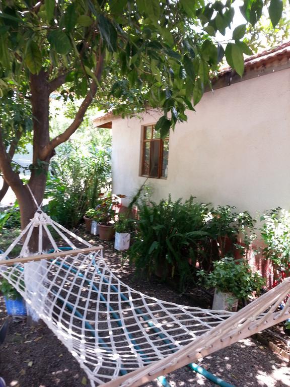Cirali Irmak Hotel Εξωτερικό φωτογραφία