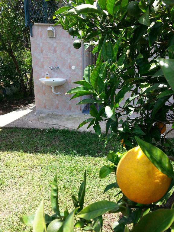 Cirali Irmak Hotel Δωμάτιο φωτογραφία